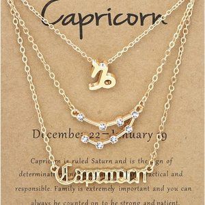 NWT Zodiac Necklace / Constellation Pendant  - CAPRICORN